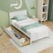 Twin Size Platform Bed with Drawers, Wood Headboard and Sturdy Frame
